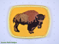 Bison